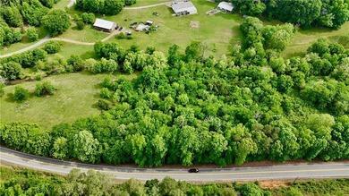 2.5 wooded acres on HWY 293 - perfect for a recreational - photo 3