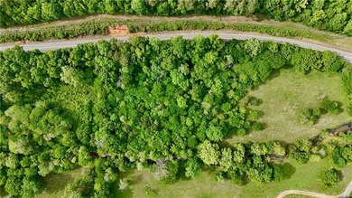 2.5 wooded acres on HWY 293 - perfect for a recreational - photo 4