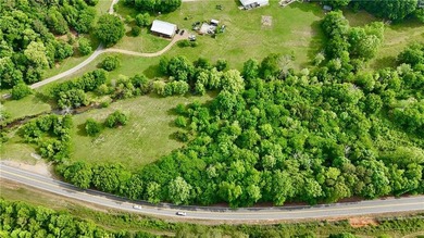 2.5 wooded acres on HWY 293 - perfect for a recreational - photo 7