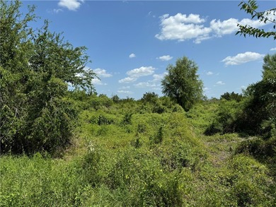 Choke Canyon Lake  Lot For Sale in Three Rivers Texas