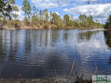 Lake Acreage Off Market in Pembroke, Georgia