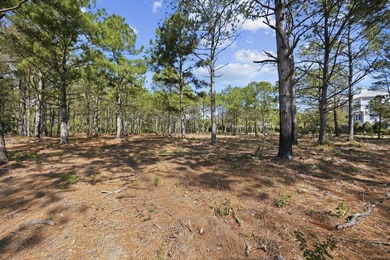 Located within the beautiful, prestigious Prince George Ocean - photo 33