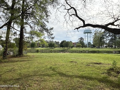 Located in the heart of Washington, this unique in-town property - photo 4
