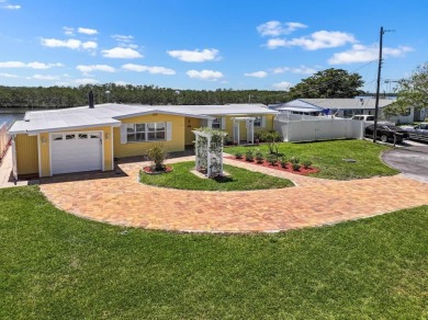 South Branch Manatee River  Home For Sale in Ruskin Florida