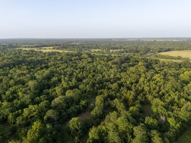 Introducing Tract 8: Come check out this 8.82+/- acre tract - photo 8