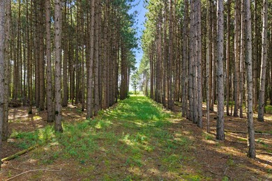Improved waterfront lot with breathtaking views on Wisconsin's - photo 11