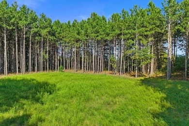Improved waterfront lot with breathtaking views on Wisconsin's - photo 14