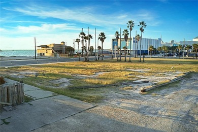Coastal Paradise Opportunity in Corpus Christi. It is directly - photo 3