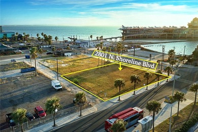 Coastal Paradise Opportunity in Corpus Christi. It is directly - photo 5