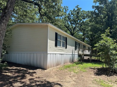 Lake Home For Sale in Murchison, Texas