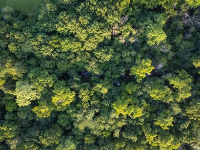 Introducing Tract 10: If privacy and mature timber are at the - photo 3