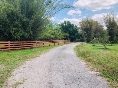 EQUESTRIAN 50+ ACRES IS A RARE FIND IN LEE COUNTY WITH LARGE CBS - photo 13