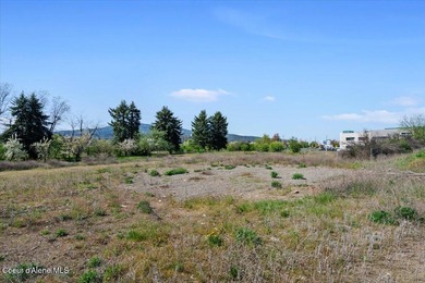 Exceptional Commercial lot adjacent to Northwest Specialty - photo 18