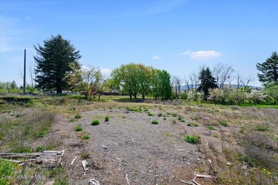 Exceptional Commercial lot adjacent to Northwest Specialty - photo 19