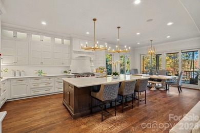 Spectacular waterfront living in The Point on Lake Norman, where - photo 10