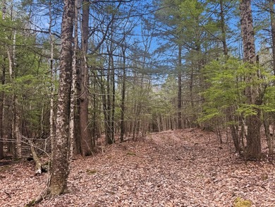 This unique offering consists of three separate (non-contiguous) - photo 3