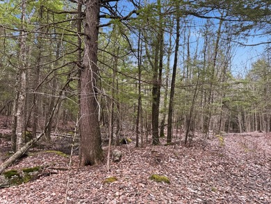 This unique offering consists of three separate (non-contiguous) - photo 4