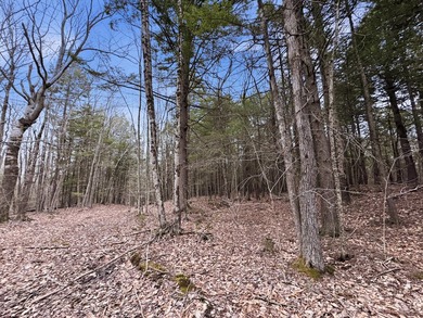 This unique offering consists of three separate (non-contiguous) - photo 6