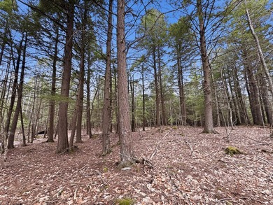 This unique offering consists of three separate (non-contiguous) - photo 8
