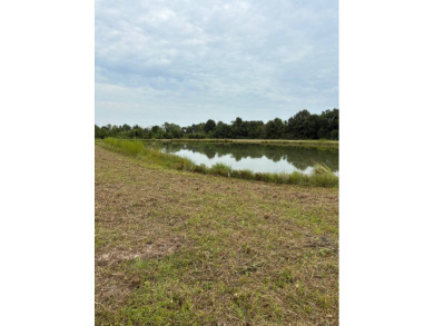 (private lake, pond, creek) Acreage For Sale in Rayne Louisiana