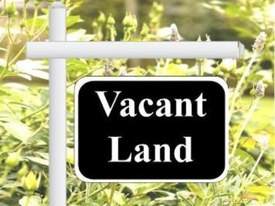 RESIDENTIAL LOT - 449 SARAGOSSA AVE PALM BAY,FL Build your dream - photo 1