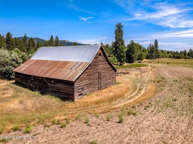 A rare 55.11-acre opportunity in Blanchard, Idaho, offering - photo 4