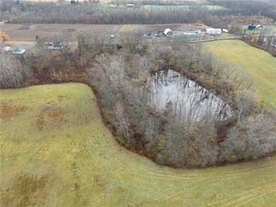 Welcome to Vacant Lot #1 on Ontario Center Road (Route 350)-a - photo 5