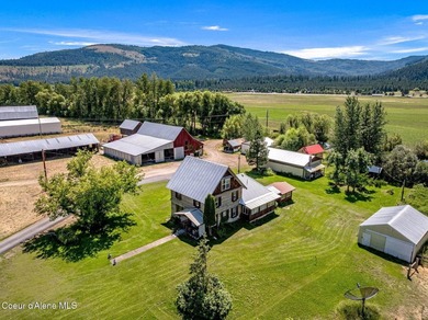 Historic 1906 fourth-generation homestead on 78.08 +/- level - photo 1