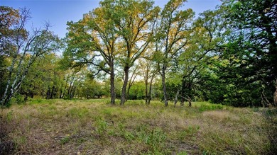 (private lake, pond, creek) Acreage For Sale in Montague Texas