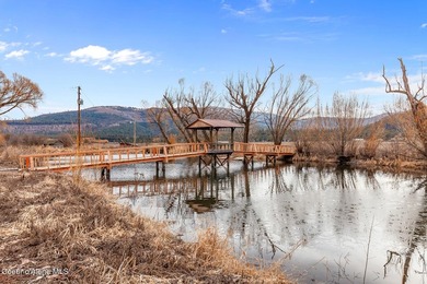 Historic 1906 fourth-generation homestead on 78.08 +/- level - photo 9