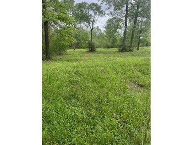 Toledo Bend Reservoir Lot For Sale in Many Louisiana
