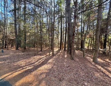 This fantastic lot in Section 1 has access to public water and - photo 3