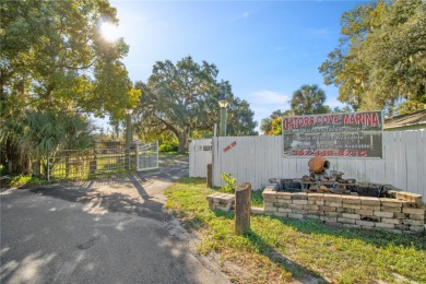 Lake Griffin Commercial For Sale in Lady Lake Florida