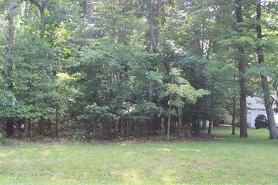 (private lake, pond, coastal) Lot For Sale in Greenbackville Virginia