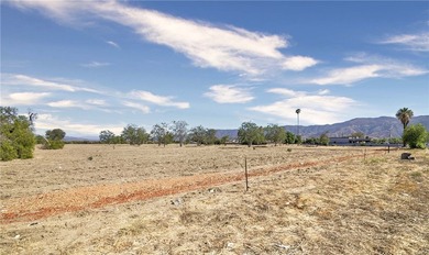 Prime Lakefront Commercial Development Opportunity in Lake - photo 11