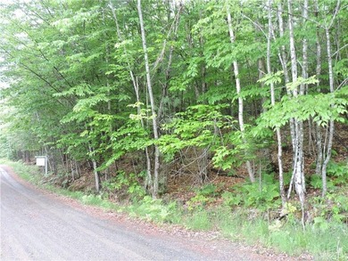 Bowerbank: Located in one of the nicest parts of Sebec Lake - photo 1