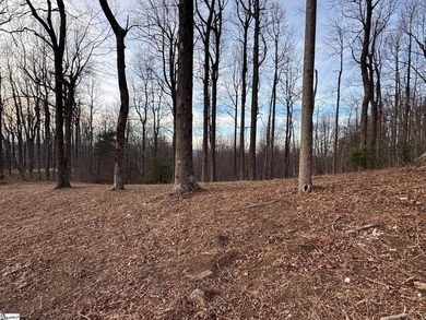 Nestled in the mountains just minutes from Greenville, SC, make - photo 12