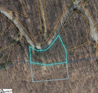 Nestled in the mountains just minutes from Greenville, SC, make - photo 13