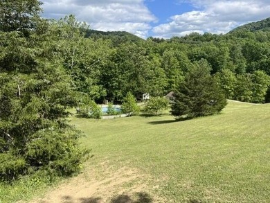 Set in scenic Monroe County, WV, 2463 Willow Bend Road offers a - photo 48