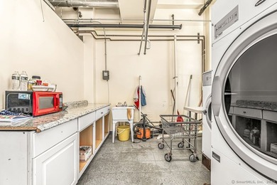 An established dry cleaning business is available for sale in - photo 11