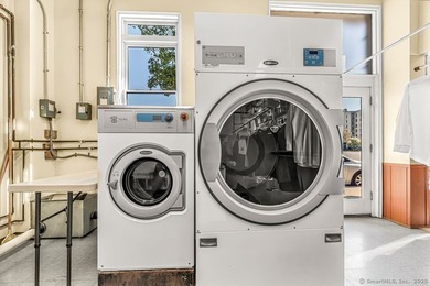 An established dry cleaning business is available for sale in - photo 12