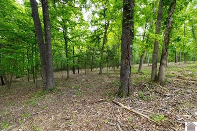 This 7.182+/- acre tract in Marshall County, Kentucky offers an - photo 14