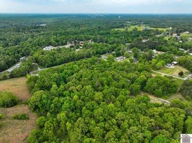 This 7.182+/- acre tract in Marshall County, Kentucky offers an - photo 17