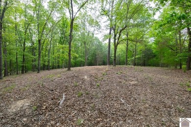 This 7.182+/- acre tract in Marshall County, Kentucky offers an - photo 19