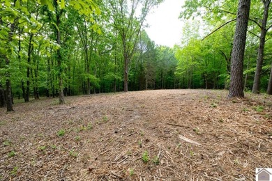 This 7.182+/- acre tract in Marshall County, Kentucky offers an - photo 20