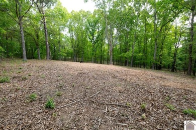 This 7.182+/- acre tract in Marshall County, Kentucky offers an - photo 21
