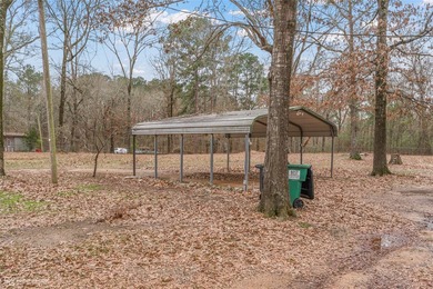 This spacious four-bedroom, two-bath home offers room to spread - photo 22