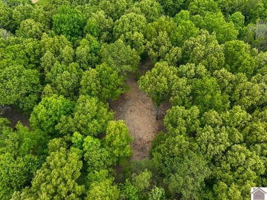 This 7.182+/- acre tract in Marshall County, Kentucky offers an - photo 22