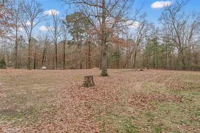 This spacious four-bedroom, two-bath home offers room to spread - photo 28