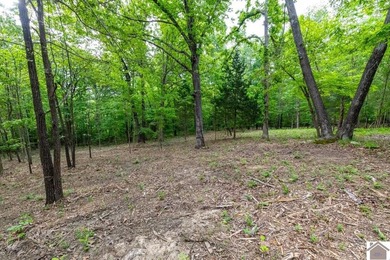 This 7.182+/- acre tract in Marshall County, Kentucky offers an - photo 28